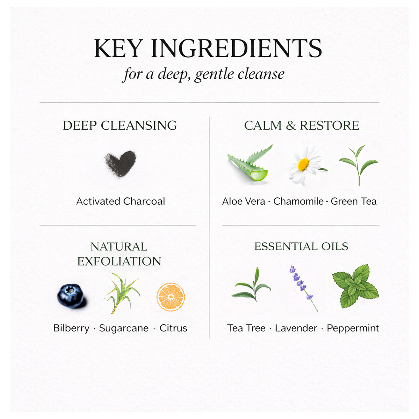 Destiny Boutique Charcoal Facial DETOX - Destiny Boutique